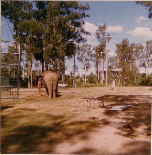 J_Elephant.JPG